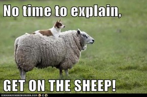 No time to explain,  GET ON THE SHEEP!