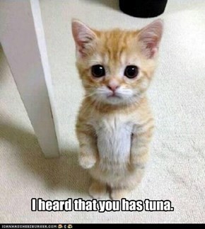 I heard that you has tuna.