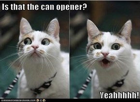 Is that the can opener?  Yeahhhhh!
