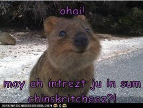 ohai!  may ah intrezt ju in sum chinskritcheez?!