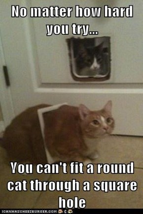 No matter how hard you try...  You can't fit a round cat through a square hole
