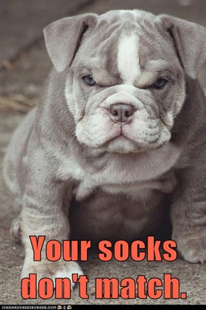 Your socks don't match.