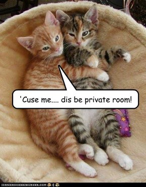 'Cuse me.... dis be private room!