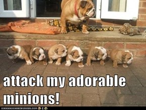 attack my adorable minions!