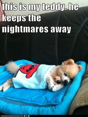 this is my teddy. he keeps the nightmares away