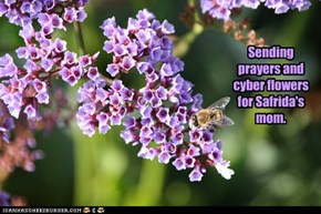 Sending prayers and cyber flowers for Safrida's mom.