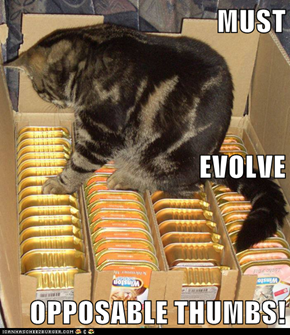 MUST EVOLVE OPPOSABLE THUMBS!