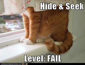 Hide & Seek  Level: FAIL