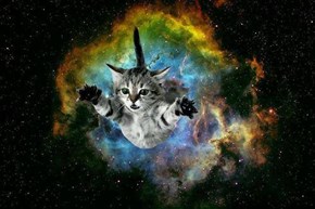 And God Said, "Let There Be Cats"
