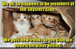 We all so happees to be members of teh Shysterz Club..  We gots new frends in teh Club, an' eben from other kitties!
