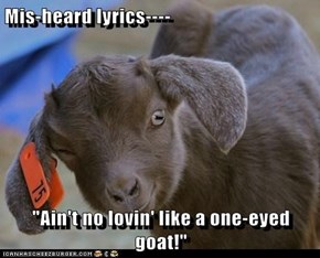 Mis-heard lyrics----  "Ain't no lovin' like a one-eyed goat!"