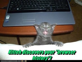 Kitteh discovers your "browser history"!