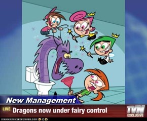 New Management - Dragons now under fairy control