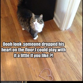 Oooh look ,someone dropped his heart on the floor,I could play with it a little if you like ?!