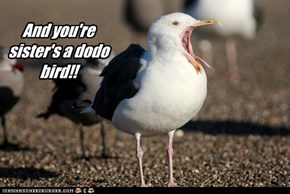 Who Ruffled His Feathers?