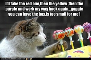 I'll take the red one,then the yellow ,then the purple and work my way back again...goggie you can have the box,is too small for me !