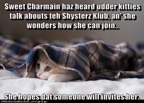 Sweet Charmain haz heard udder kitties talk abouts teh Shysterz Klub, an' she wonders how she can join..  She hopes dat someone will invites her..