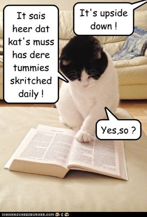 It sais heer dat kat's muss has dere tummies skritched daily !