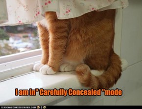 I am in" Carefully Concealed "mode