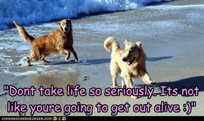 "Dont take life so seriously. Its not like youre going to get out alive :)"