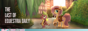 My Little Pony The Last of Us