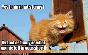 Yes I think that's funny !
