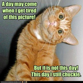 I bid you, "Laugh, Peeps of the Cheez!"