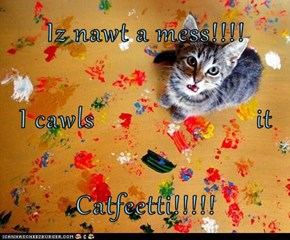 Iz nawt a mess!!!! I cawls                       it Catfeetti!!!!!