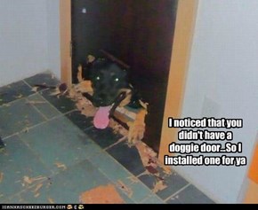 I noticed that you didn't have a doggie door...So I installed one for ya