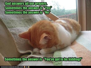 God answers all our prayers.     Sometimes the answer is  "Yes"     Sometimes the answer is  "No"
