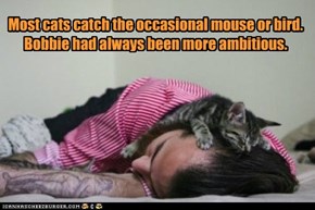 Most cats catch the occasional mouse or bird. Bobbie had always been more ambitious.