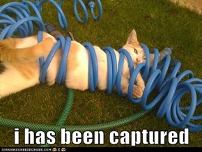i has been captured