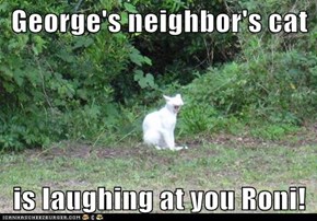 George's neighbor's cat  is laughing at you Roni!