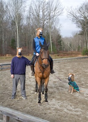 Family of Horses