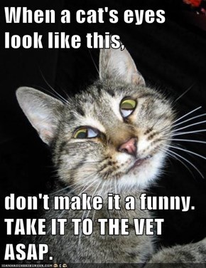 When a cat's eyes look like this,  don't make it a funny. TAKE IT TO THE VET ASAP.