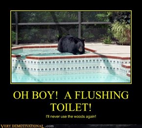 OH BOY!  A FLUSHING TOILET!