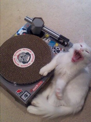 DJ Felix Scratching