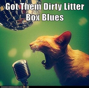 Got Them Dirty Litter Box Blues