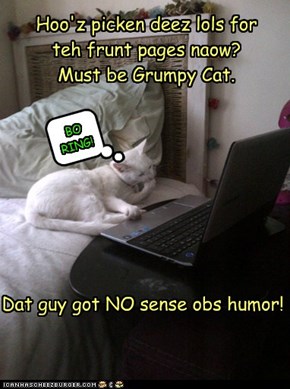 Hoo'z picken deez lols for teh frunt pages naow?   Must be Grumpy Cat.