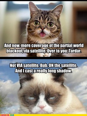 Breaking Kitteh News