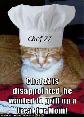 Chef ZZ is disappointed, he wanted to grill up a treat for Mom!