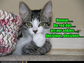 Hmmm . . . Da red dot . . . orz yer ankles . . . decizions, decizons . . .