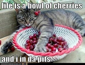 life is a bowl of cherries  and i in da pits