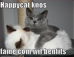 Happycat knos  fame com wif benfits