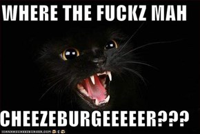 WHERE THE FUCKZ MAH  CHEEZEBURGEEEEER???