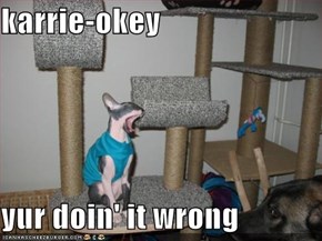 karrie-okey  yur doin' it wrong