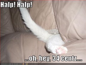 Halp! Halp!  ...oh, hey, 34 centz....