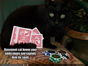 Basement cat knoes your addicshuns and exploitz dem for soulz.