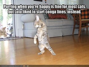 Purring when you're happy is fine for most cats,but Lula liked to start conga lines, instead.