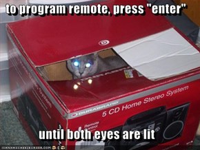 to program remote, press "enter"  until both eyes are lit